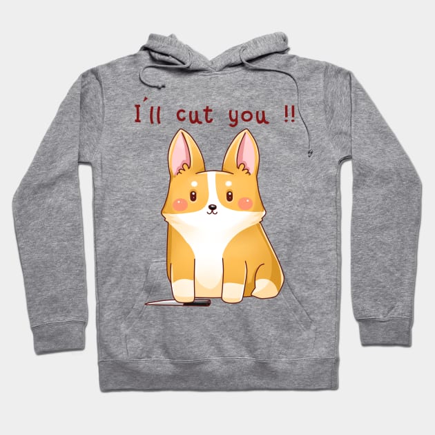 Corgi in cheap hoodie